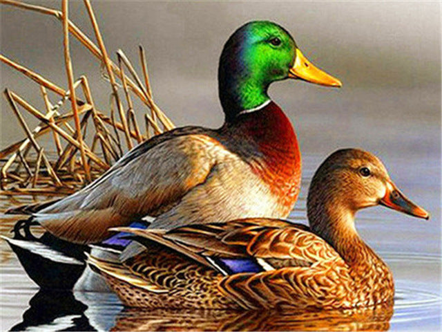 Duck Hunting Diamond Painting Kit with Free Shipping – 5D Diamond Paintings