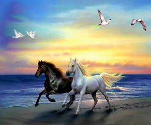 Diamond Paintings, Free Horses Run The Beach - Animal Diamond Painting Kit -  Full Round/Square 5D Diamonds