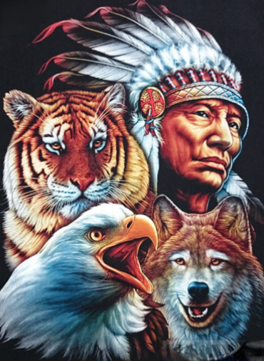 5D DIY Diamond Painting, Native American And Wild Animals, Full Round –  Diamond Paintings Store