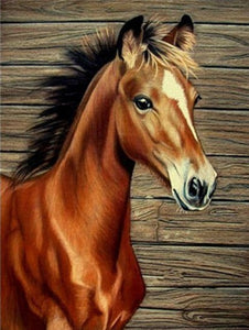 Cute Horse Foal | Animal Diamond Painting | DIY Diamond Kit | Full Square/Full Round Drill Rhinestone Embroidery | Wild Animal Portrait -Diamond Painting Kits, Diamond Paintings Store