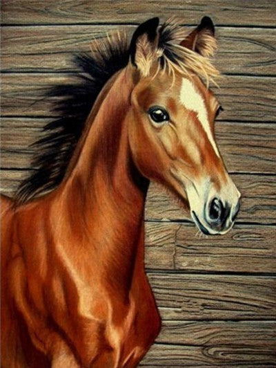 Cute Horse Foal | Animal Diamond Painting | DIY Diamond Kit | Full Square/Full Round Drill Rhinestone Embroidery | Wild Animal Portrait -Diamond Painting Kits, Diamond Paintings Store