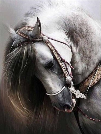 Mountain Horse Animal, 5D Diamond Painting Kits