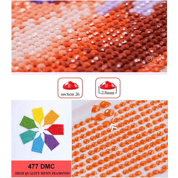 Rainbow Over Ocean | Scenic Diamond Painting Kit | Full Round Drill 5D Rhinestone Cross Stitch | Butterfly Seal Beach -Diamond Painting Kits, Diamond Paintings Store