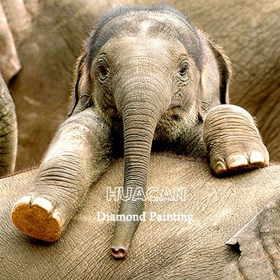 DIY Animal Diamond Painting Kit | Various Elephant Diamond Paintings | Full Square/Round Drill 5D Rhinestones -Diamond Painting Kits, Diamond Paintings Store