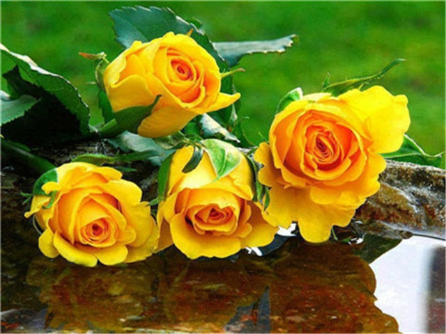 Yellow Roses Reflection | Floral Diamond Painting | Full Round/Square Drill Rhinestones | DIY Flower Diamond Embroidery Kit -Diamond Painting Kits, Diamond Paintings Store