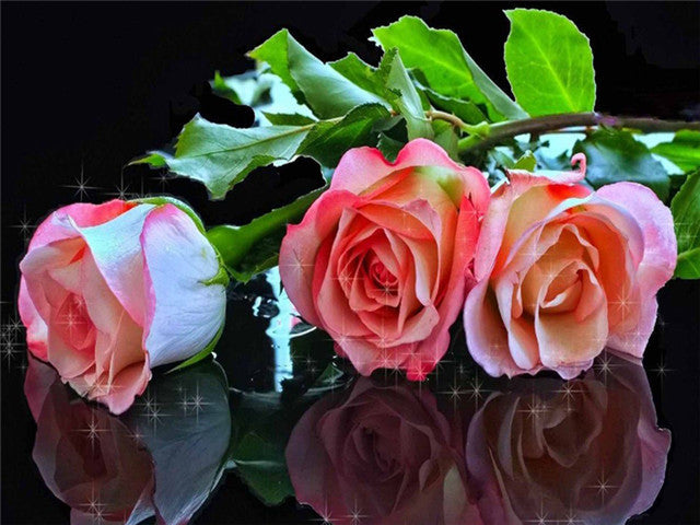 Pink Rose Reflection | Floral Diamond Painting | Full Round/Square Drill Rhinestones | DIY Flower Diamond Embroidery Kit -Diamond Painting Kits, Diamond Paintings Store