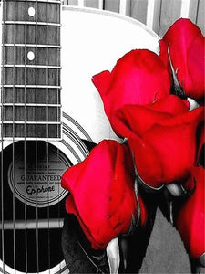 Guitar Red Roses | Floral Diamond Painting | Full Round/Square Drill Rhinestones | DIY Flower Diamond Embroidery Kit -Diamond Painting Kits, Diamond Paintings Store