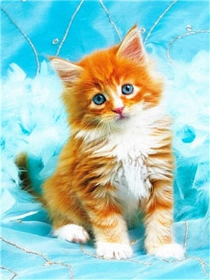 Cute Kitty | DIY Animal Diamond Painting Kit | Full Round/Square Drill Rhinestone Embroidery | Playful Kitten Portrait -Diamond Painting Kits, Diamond Paintings Store