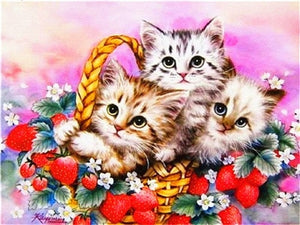 Three Sister Kitties | DIY Animal Diamond Painting Kit | Full Round/Square Drill Rhinestone Embroidery | Playful Kitten Cross Stitch -Diamond Painting Kits, Diamond Paintings Store