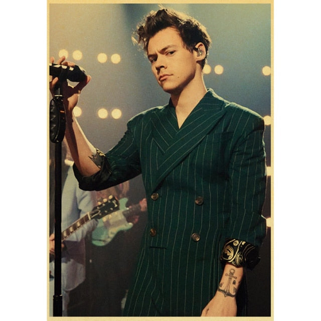 Harry Styles Diamond Painting Kits | Full square / round diamond 3D embroidery rhinestones - Diamond Paintings Store