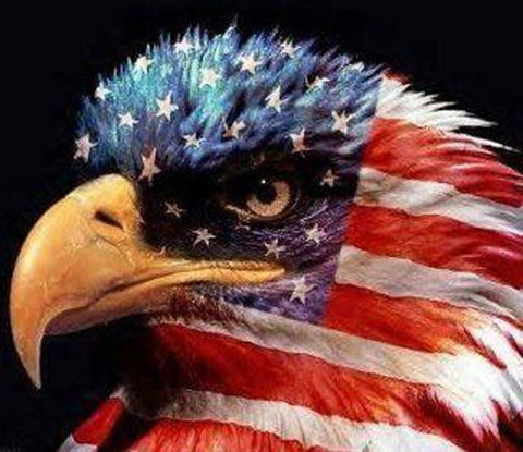 American Flag Eagle 5D DIY Patriotic Diamond Painting - Diamond Paintings Store