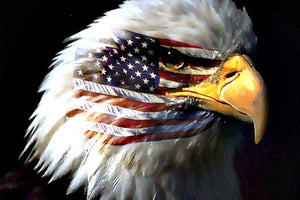 Eagle America Flag Diamond Artwork Patriotic Rhinestone Embroidery - Diamond Paintings Store