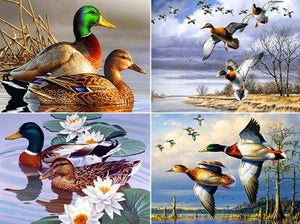 Diamond Paintings, Ducks On The Lake - Animal Diamond Painting Kit, Full Round/Square Drill Rhinestones