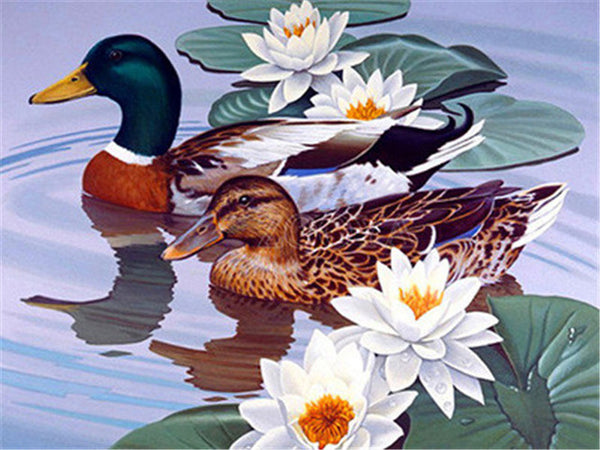Diamond Paintings, Ducks On The Lake - Animal Diamond Painting Kit, Full Round/Square Drill Rhinestones