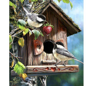 "Two Birds In Birdhouse" Diamond Painting Kit | New Full Square Diamond Painting | Animal Scenic Mosaic -Diamond Painting Kits, Diamond Paintings Store