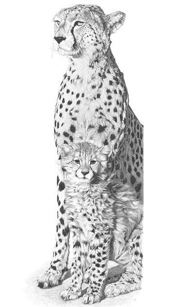 Black And White Animal Diamond Painting Kit | Full Round Drill 5D Rhinestones | DIY Animal Portrait | Cheetah And Cub -Diamond Painting Kits, Diamond Paintings Store