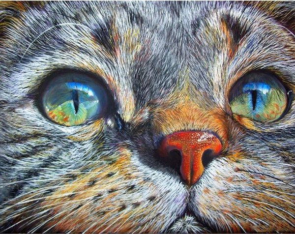 Full Drill Square 5D Diamond | DIY Animal Diamond Painting | Cat Face Rhinestone Embroidery | Cat Eyes Mosaic Painting -Diamond Painting Kits, Diamond Paintings Store