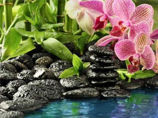 5D Diy Diamond Painting Kit,  Orchids & Stones, Full Square Diamond -Diamond Painting Kits, Diamond Paintings Store
