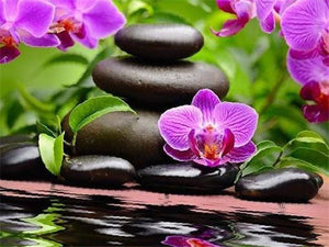 5D Diy Diamond Painting Kit,  Orchids & Stones, Full Square Diamond -Diamond Painting Kits, Diamond Paintings Store