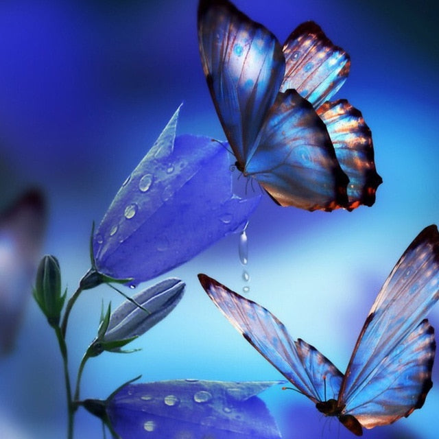 Drinking Butterfly | Animal Diamond Painting Kit | 5D Full Drill Square, Magic Round, Pebble Round Diamonds | DIY Rhinestone Embroidery -Diamond Painting Kits, Diamond Paintings Store