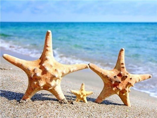 Starfish on the Beach, 5D Diamond Painting Kits - 20 Designs to Choose- On Sale -Diamond Painting Kits, Diamond Paintings Store
